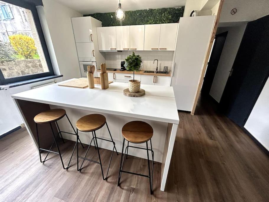 Le Puy En Velay - Appartement Grand Confort Dış mekan fotoğraf