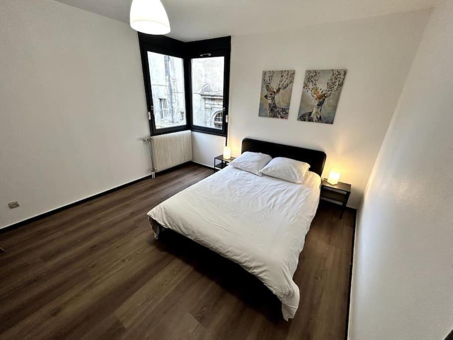 Le Puy En Velay - Appartement Grand Confort Dış mekan fotoğraf