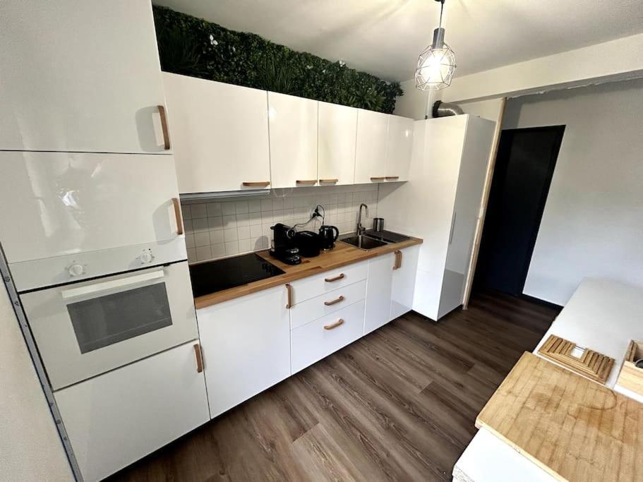 Le Puy En Velay - Appartement Grand Confort Dış mekan fotoğraf