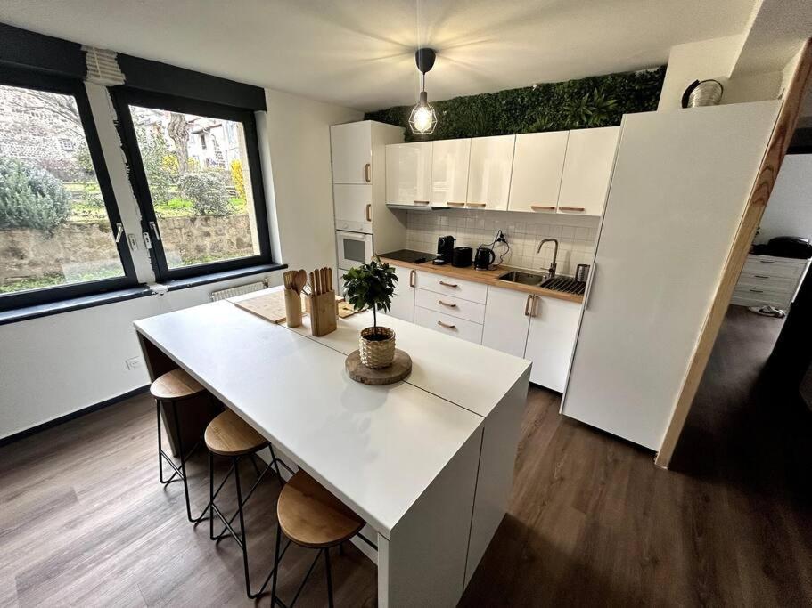 Le Puy En Velay - Appartement Grand Confort Dış mekan fotoğraf