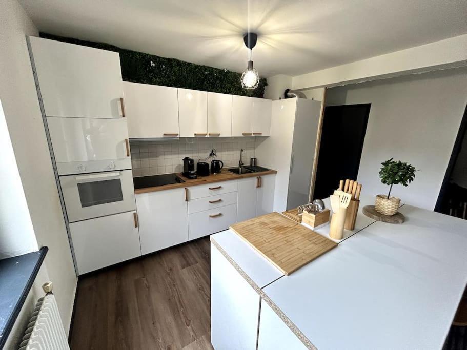 Le Puy En Velay - Appartement Grand Confort Dış mekan fotoğraf
