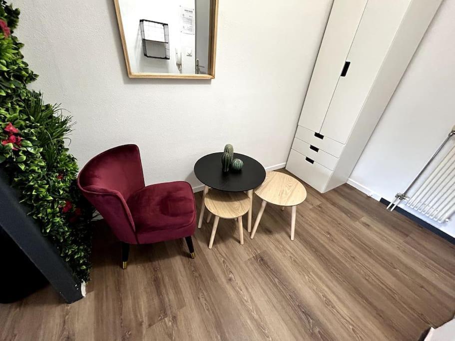 Le Puy En Velay - Appartement Grand Confort Dış mekan fotoğraf