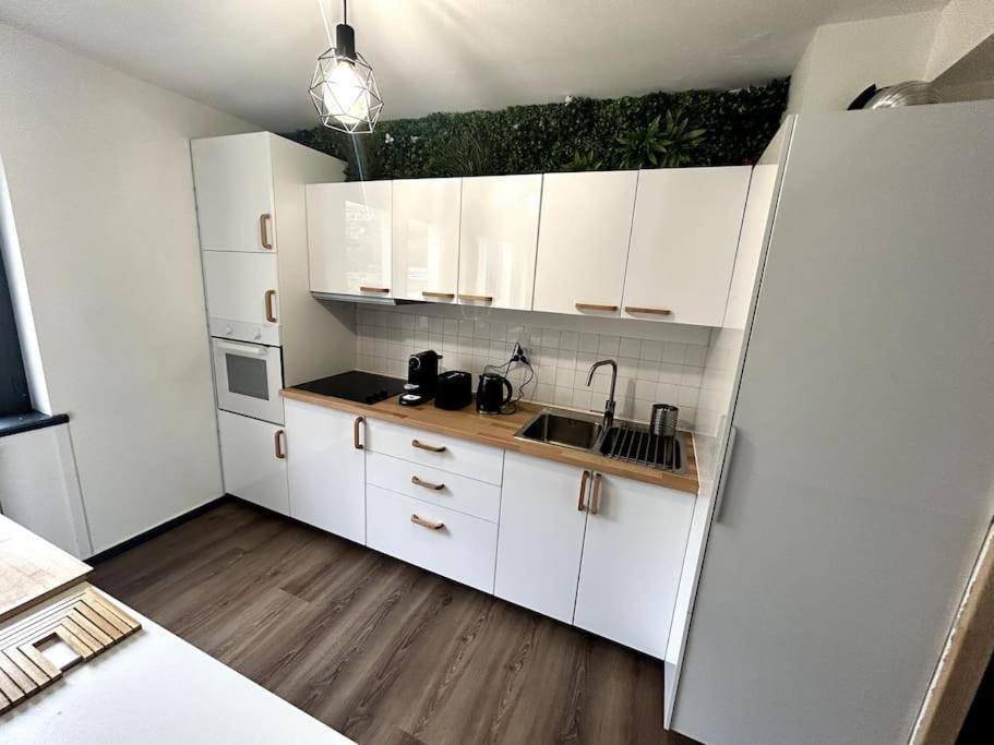 Le Puy En Velay - Appartement Grand Confort Dış mekan fotoğraf